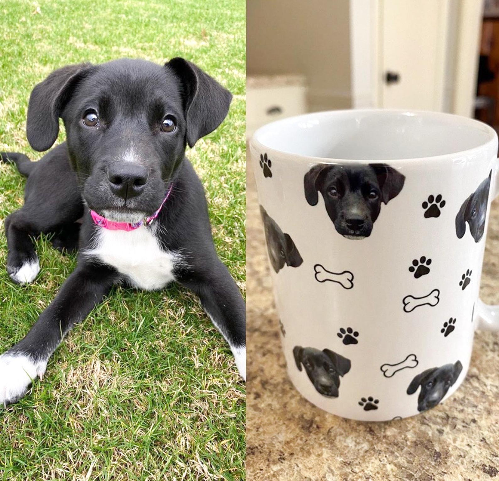 CUSTOM Mug — Pet Paw and Bone