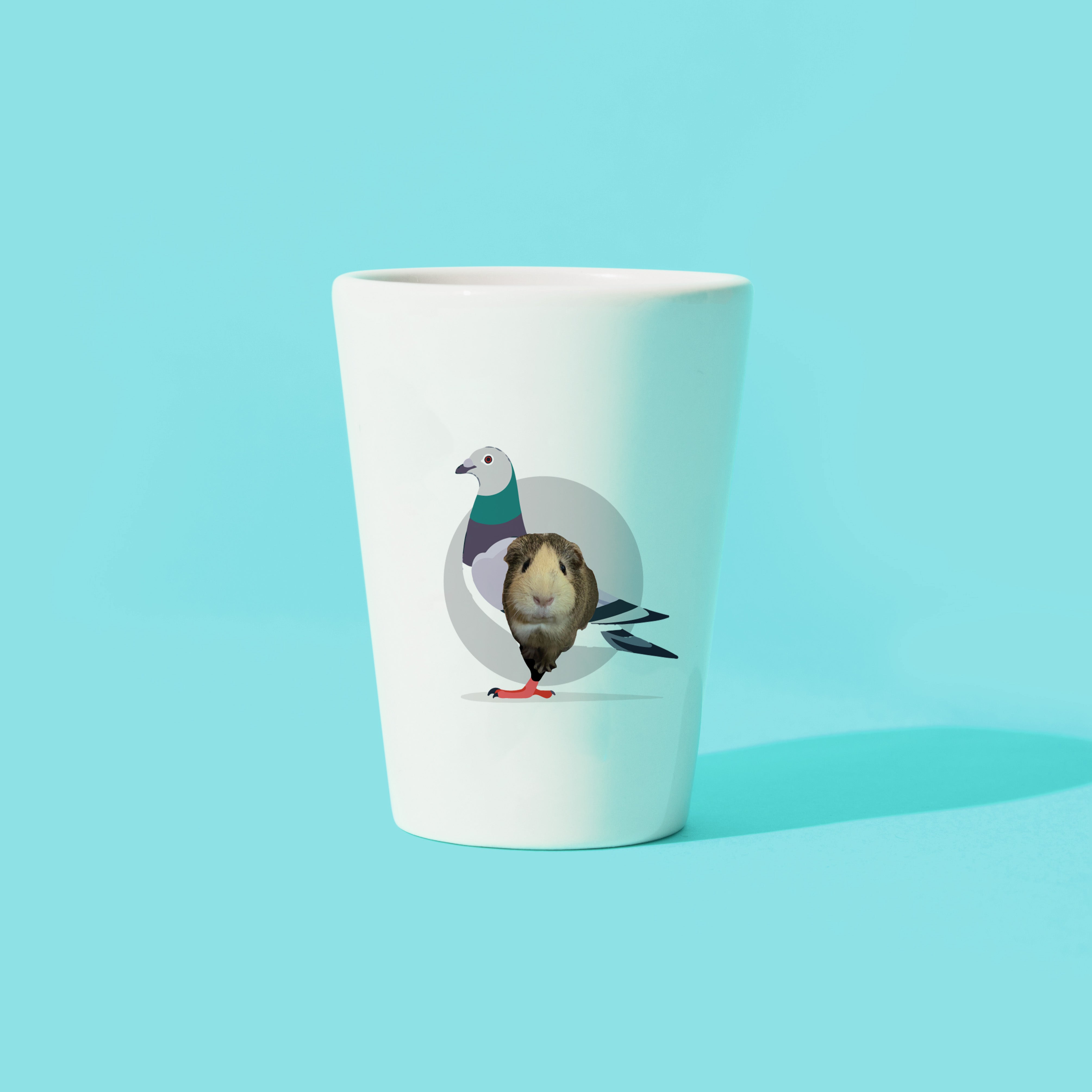 pigeon-mock.jpg